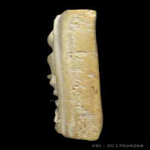 สมเด็จวัดระฆัง 100 ปี พิมพ์ไข่ปลาเลือนบล็อกนิยม (1)