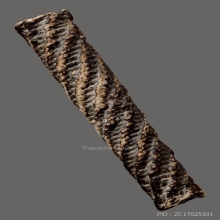 ตะกรุดหลวงปู่ศุข วัดปากคลองมะขามเฒ่า