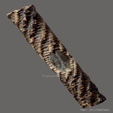 ตะกรุดหลวงปู่ศุข วัดปากคลองมะขามเฒ่า