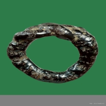 แหวนพิรอด หลวงพ่อม่วง วัดบ้านทวน (ยุคต้น)