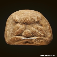 พระปิดตาหลวงพ่อปาน วัดเคลือวัลย์ พิมพ์เล็กหลังแบบ