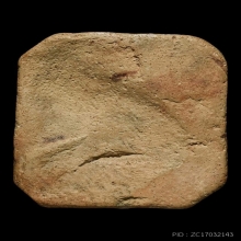 หลวงพ่อปาน พิมพ์ขี่เม่นอ้วน