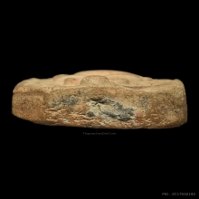 หลวงพ่อปาน พิมพ์ขี่เม่นอ้วน