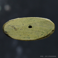 พิมพ์ต้อไม่มีโค๊ด