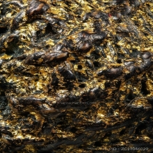 “พิสมรจิ๋วจักรนารายณ์”หลวงพ่อแก้ว พวงมาลัย