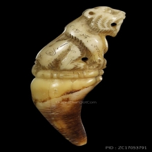 เสือเต็มเขี้ยว หลวงพ่อคง แกะจากเขี้ยวหมี สภาพสวยมาก หายาก