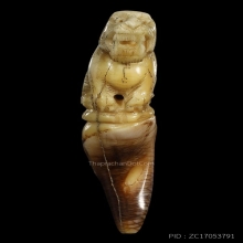 เสือเต็มเขี้ยว หลวงพ่อคง แกะจากเขี้ยวหมี สภาพสวยมาก หายาก