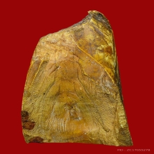 งากำจัด งากระเด็น เครื่องรางทนสิทธิ์มีฤทธิ์ในตัว 