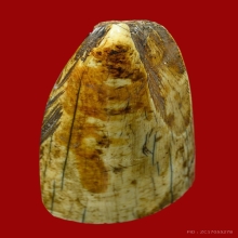 งากำจัด งากระเด็น เครื่องรางทนสิทธิ์มีฤทธิ์ในตัว 