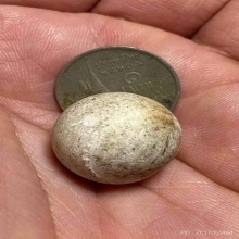 ลูกอมหลวงปู่ขำ วัดสหกรณ์โฆสิตาราม จ.สมุทรสาคร