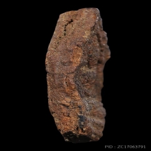 สุดยอดหายาก ขุนแผนพ่อท่านลี พิมพ์เล็กเนื้อช็อคโกแล็ต สภาพสวย