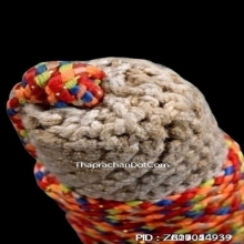 ตะกรุดหนังเสือหลวงพ่อตาบ วัดมะขามเรียง จ.สระบุรี