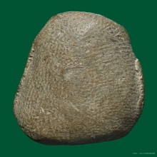 พระเม็ดบัวเนื้อดิน เจ้าคุณโพธิ์  พิมพ์ปรกโพธิ์