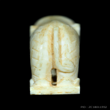 ช้างหลวงปู่ทิม อิสริโก