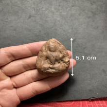 พระโพธิสัตว์ กรุควนพุนพิน