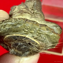  รูปหล่อปู่สิงห์สมิงพรายรุ่นแรก เนื้อสัมฤทธิ์เทดินไทย