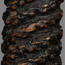 ตะกรุดมหาโสฬสมงคลอาจารย์แปลก