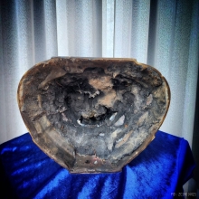 หายาก/ 9นิ้ว ดินไทย 2หางลง หลวงพ่อแพ วัดพิกุลทอง สิงห์บุรี