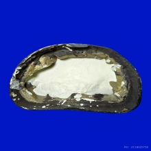 พระบูชา ครูบาเจ้า ศรีวิไชย