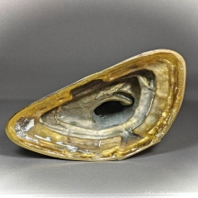 พระบูชาพระพุทธชัยรังสี สธ. วัดป่าชัยรังสี ปี ๒๕๓๒