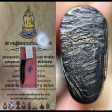 >>>..,ปลัดขิกหลวงพ่อไสว วัดปรีดาราม ไม้กัลปังหา สวยเดิม