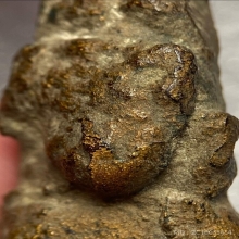 พระว่านจำปาสัก ศิลปะเชียงแสน(ลงทอง)