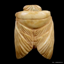 แมลงภู่คำ งาแกะ