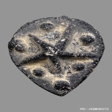 ดาวแม่เนื้อหอม หลวงพ่อผินะ วัดสนมลาว จ.สระบุรี