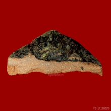 พระยอดกระชาย สมาธิใหญ่ กรุวัดกระชาย จ.พระนครศรีอยุธยา