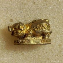 หมูทองมหาลาภ 