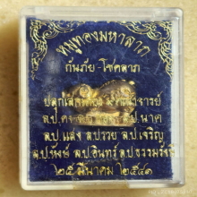 หมูทองมหาลาภ 