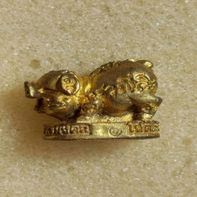 หมูทองมหาลาภ 