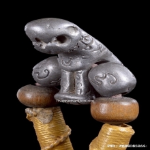 เสือหลวงพ่อโชติ วัดวชิราลงกรณ์ จ.นครราชสีมา