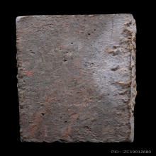 ปิลันทร์ พิมพ์ปรกโพธิ์