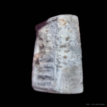 ปิลันทร์ พิมพ์ปรกโพธิ์