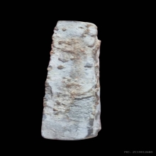 ปิลันทร์ พิมพ์ปรกโพธิ์