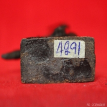 รูปเหมือนสมเด็จพระเจ้าตากสิน