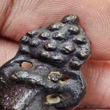 พระกริ่งตั๊กแตน ลพ.ทองอยู่ รุ่นแรก วัดใหม่หนองพะอง ปี 2509