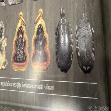 พญาเต่าเรือน หลวงปู่ศุข วัดปากคลองมะขามเฒ่า