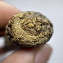 ตะกรุดผ้ายันต์  หลวงพ่อเต๋ วัดสามง่าม  