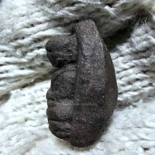 ว่าน 80 ปี อ.นอง พิมพ์ใหญ่ ตะกรุดเงิน ล่ำใหญ่ หน้าตาเจน