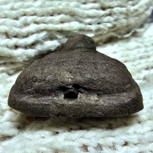 ว่าน 80 ปี อ.นอง พิมพ์ใหญ่ ตะกรุดเงิน ล่ำใหญ่ หน้าตาเจน