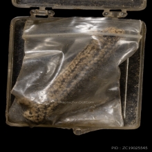 ตะกรุดหน้าผากเสือ หลวงพ่อเต๋ วัดสามง่าม