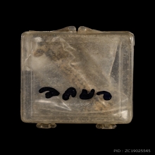 ตะกรุดหน้าผากเสือ หลวงพ่อเต๋ วัดสามง่าม