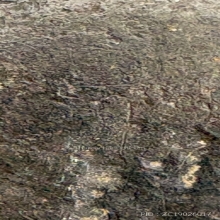 เหรียญหล่อพิมพ์พระพุทธนั่งบัว หลวงพ่อขัน วัดนกกระจาบ