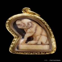 เสือหลวงพ่อเดิม วัดหนองโพ เนื้อกระดูก