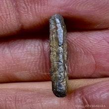 เหรียญหล่อชินตะกั่ว หลังจารย์ มะขามเฒ่า เก่าแห้วๆ