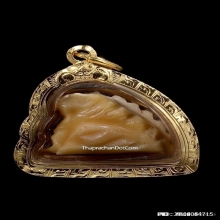 เสือหลวงพ่อหมุน วัดเขาแดงตะวันออก จ.พัทลุง