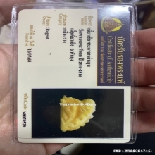 เสือหลวงพ่อหมุน วัดเขาแดงตะวันออก จ.พัทลุง