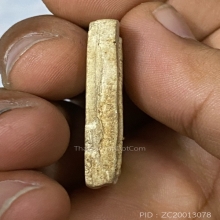 สมเด็จอกวี หลวงปู่เผือก วัดกิ่งแก้ว 96